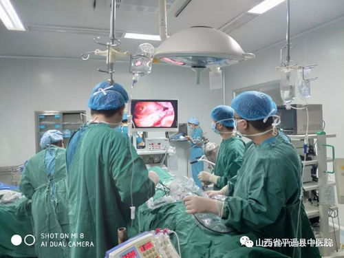 以技術(shù)創(chuàng)新與用心服務(wù) 推動(dòng)醫(yī)院高質(zhì)量發(fā)展 信息技術(shù)咨詢的價(jià)值與實(shí)踐